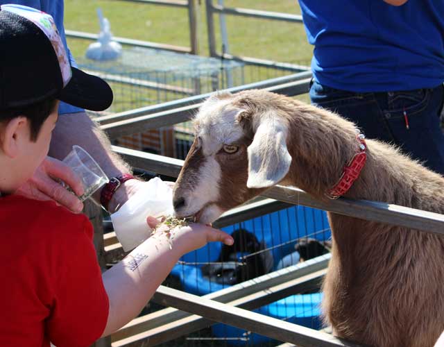 Warrigala Petting Zoo